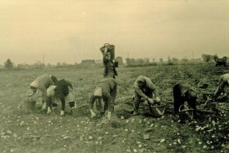 „Sozialismus auf dem Lande. Die Kollektivierung der DDR-Landwirtschaft